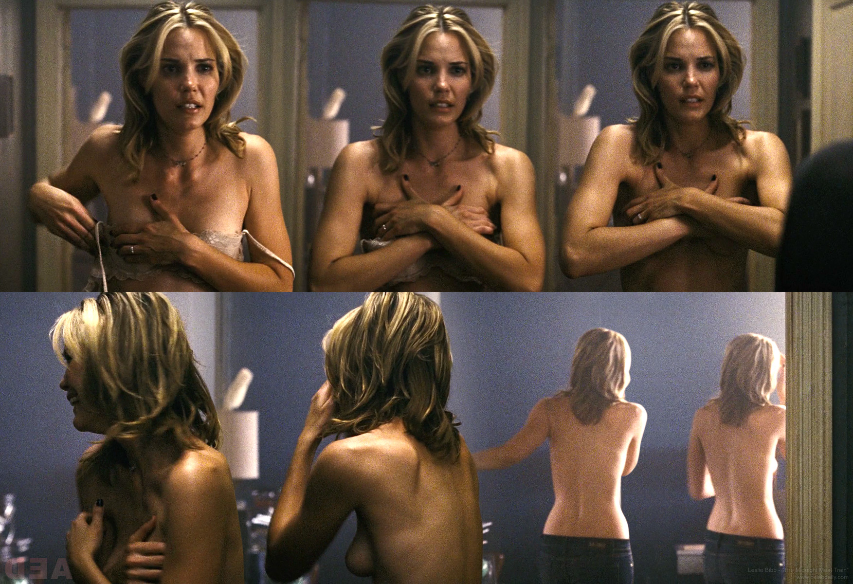 Leslie bibb tits